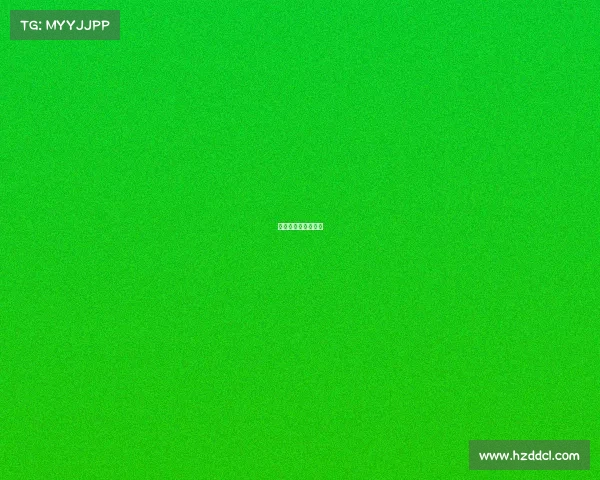 猛龙队比赛视频回放