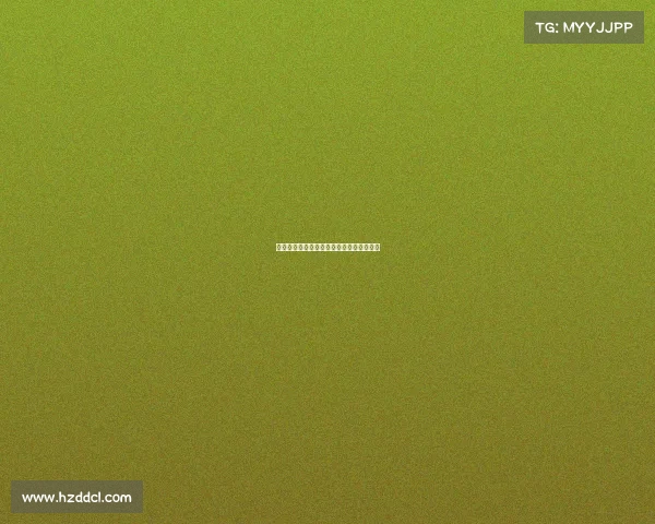 女排巅峰赛事奥运世界杯世锦赛的辉煌征程